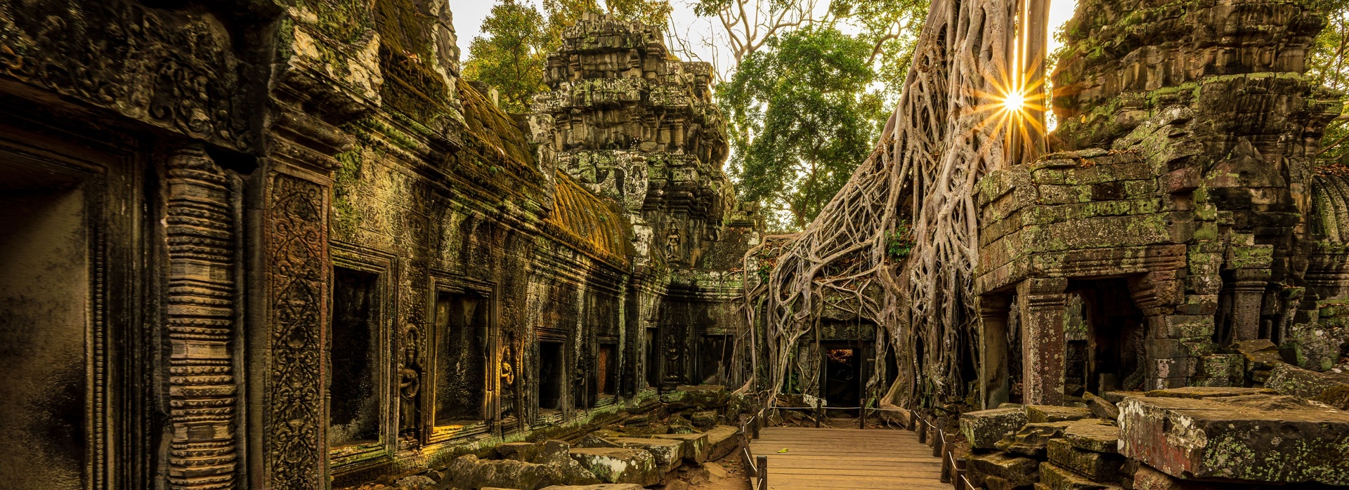 Ta Prohm Hero